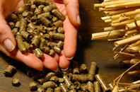 free Oxenpill biomass boiler quotes